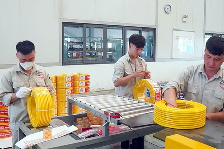 Sản xuất dây điện tại nhà máy thuộc Công ty cổ phần Cơ điện Trần Phú, Khu công nghiệp VISIP Hải Dương.