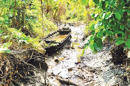 Kênh thủy lợi Vành Đai thuộc địa bàn hai xã Tân Mỹ và Tân Khánh Trung, huyện Lấp Vò, tỉnh Đồng Tháp có những đoạn cạn trơ đáy. (Ảnh TTXVN)