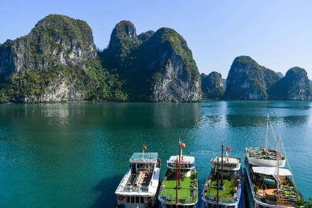 Ảnh minh họa: THÀNH ĐẠT