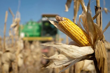 Ảnh minh họa. (Nguồn: Reuters)