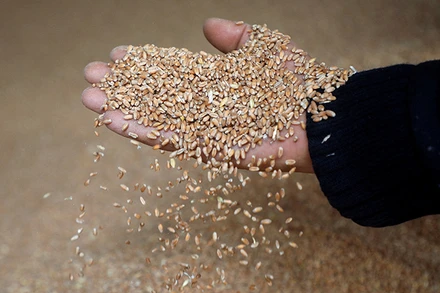 Ảnh minh họa. (Nguồn: Reuters)