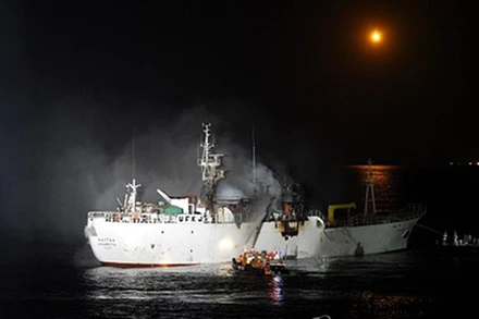 Lực lượng cứu hộ tìm kiếm người mất tích. (Nguồn: Yonhap)