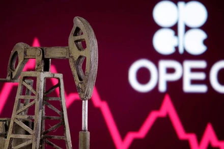 Ảnh minh họa. (Nguồn: Reuters)