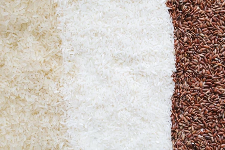 Hành trình hạt gạo Việt Nam