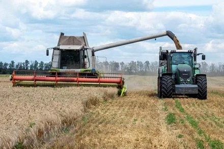 Thu hoạch lúa mỳ tại Kharkiv, Ukraine. (Ảnh: AFP/TTXVN)