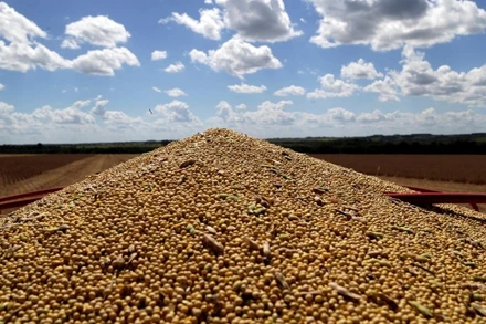 Ảnh minh họa. (Nguồn: TTXVN/Reuters)