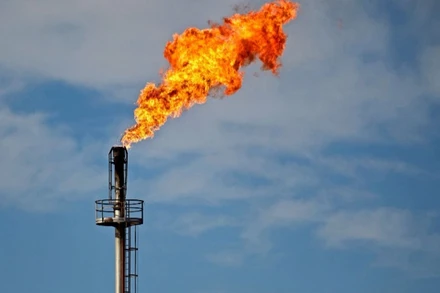 Ảnh minh họa. (Nguồn : AFP/TTXVN)