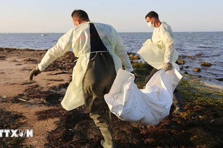 Lực lượng cứu hộ chuyển thi thể người di cư. (Ảnh minh họa: AFP/TTXVN)