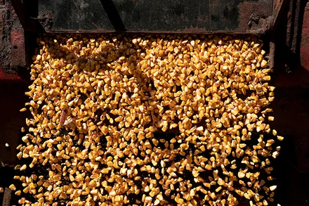 Ảnh minh họa. (Nguồn: Reuters)