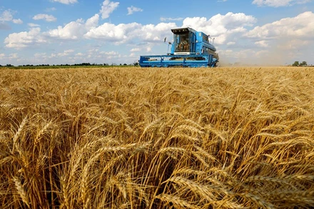 Ảnh minh họa. (Nguồn: Reuters)