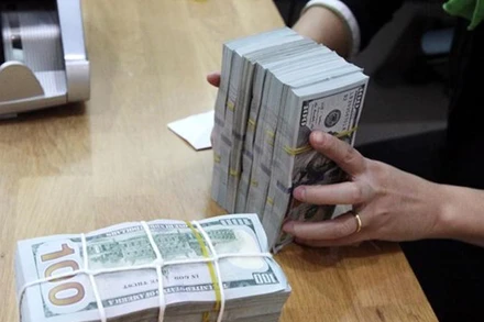 Ngân hàng Nhà nước vừa có hướng dẫn về quản lý ngoại hối đối với việc vay và trả nợ nước ngoài của doanh nghiệp có hiệu lực từ ngày 15/11. (Ảnh: Vietnam+)