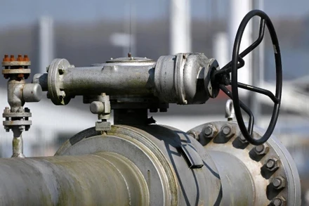 (Ảnh minh họa: TTXVN)