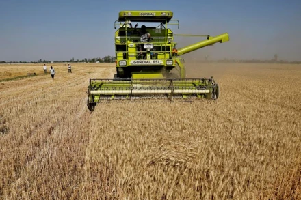 Ảnh minh họa. (Nguồn: Reuters)