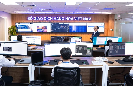 MXV đã liên tục bổ sung các sản phẩm mới, đặc biệt là các hợp đồng mini và micro, nhằm đa dạng hóa danh mục đầu tư cho thị trường giao dịch hàng hóa tại Việt Nam.