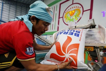 Công nhân chuẩn bị gạo xuất khẩu tại một nhà máy gạo ở tỉnh Chainat, Thái Lan. (Ảnh: Reuters)