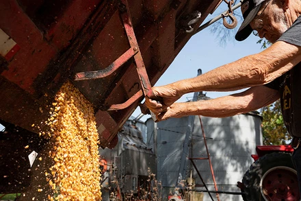 Ảnh minh họa. (Nguồn: Reuters)