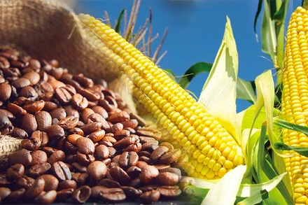 Sắc đỏ trở lại thị trường hàng hóa nguyên liệu thế giới