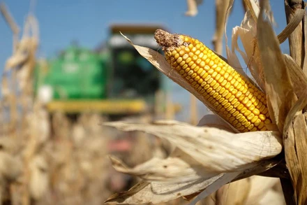 Ảnh minh họa. (Nguồn: Reuters)