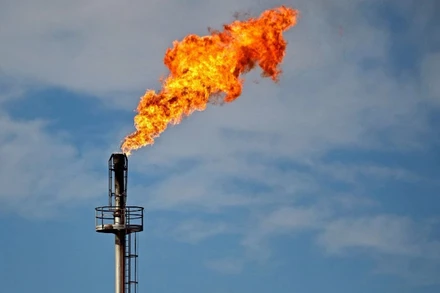 Ảnh minh họa. (Nguồn: AFP/TTXVN)