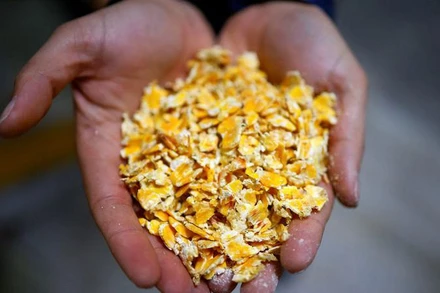 Ảnh minh họa. (Nguồn: Reuters)