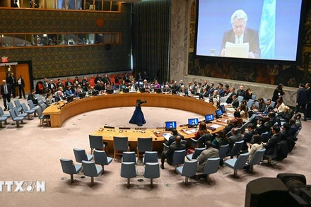 Quang cảnh một phiên họp Hội đồng Bảo an Liên hợp quốc tại New York, Mỹ ngày 29/11/2023. (Ảnh: Kyodo/TTXVN)