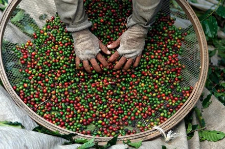 Ảnh minh họa. (Nguồn: Reuters)