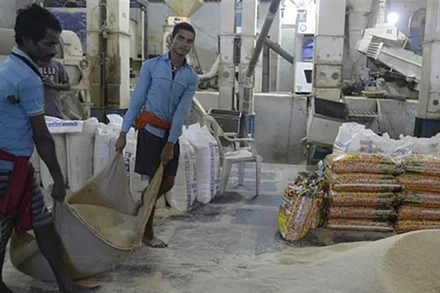 Công nhân làm việc tại một nhà máy xay xát gạo ở Hyderabad, Ấn Độ. (Ảnh: AFP/TTXVN)