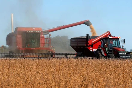 Ảnh minh họa. (Nguồn: Reuters)