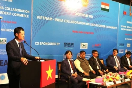 Ông Đỗ Quốc Hưng - Phó Vụ trưởng Vụ Phát triển thị trường nước ngoài, thuộc Bộ Công Thương, phát biểu khai mạc một hội thảo tại Ấn Độ. (Ảnh: TTXVN)