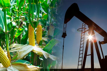 Năng lượng dẫn dắt xu hướng thị trường hàng hóa ngày hôm qua