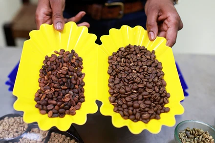 Ảnh minh họa. (Nguồn: Reuters)