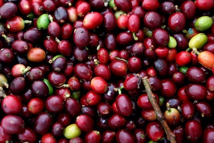 Ảnh minh họa. (Nguồn: Reuters)