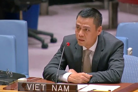 Đại sứ Đặng Hoàng Giang, Trưởng Phái đoàn đại diện Thường trực Việt Nam tại Liên hợp quốc. (Ảnh: TTXVN)