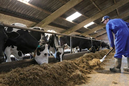 Ảnh minh họa. (Nguồn: Reuters)