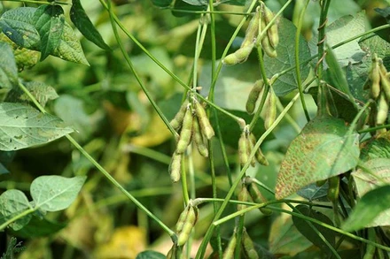 Ảnh minh họa. (Nguồn: Reuters)