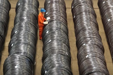 Ảnh minh họa. (Nguồn: Reuters)