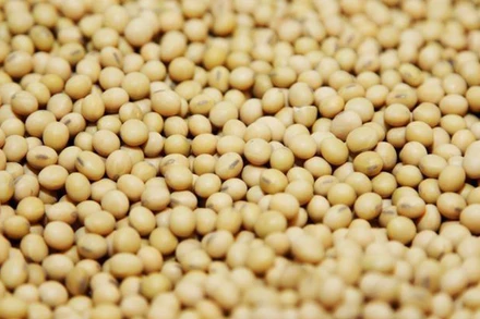 Ảnh minh họa. (Nguồn: Reuters)