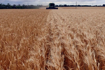 Ảnh minh họa. (Nguồn: Reuters)