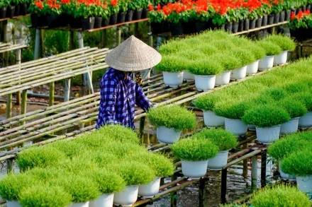 Du lịch gắn với nông thôn mới, nâng cao thu nhập người dân