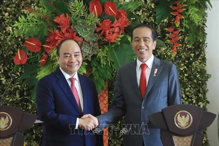 Chủ tịch nước Nguyễn Xuân Phúc và Tổng thống Indonesia Joko Widodo. (Ảnh: Thống Nhất/TTXVN)