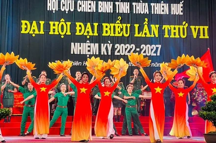 Tiết mục văn nghệ chào mừng Đại hội của hội viên Hội Cựu chiến binh trong tỉnh.