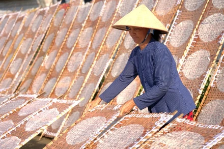 Người dân phơi bánh tại làng nghề bánh tráng Thuận Hưng.