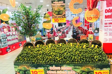 Cam sành Vĩnh Long chất lượng được giới thiệu bắt mắt tại siêu thị GO!.