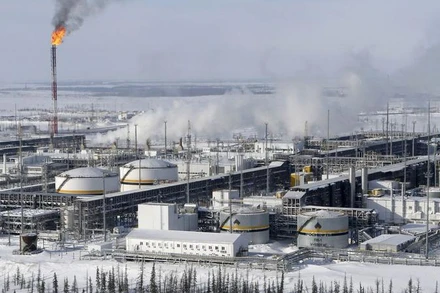 Ảnh minh họa. (Nguồn: Reuters)