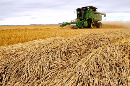 Ảnh minh họa. (Nguồn: Reuters)