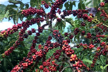 Ảnh minh họa. (Nguồn: Reuters)