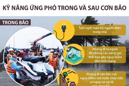 [Infographic] Kỹ năng cần thiết để ứng phó trong và sau cơn bão