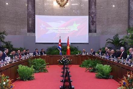 [Ảnh] Tổng Bí thư, Chủ tịch nước Tô Lâm hội đàm với Bí thư thứ nhất, Chủ tịch Cuba