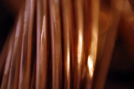 Ảnh minh họa. (Nguồn: TTXVN)