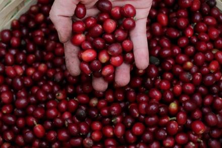 Ảnh minh họa. (Nguồn: Reuters)